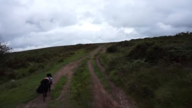 Sony NEX 7 With Mic Around Cheddar!