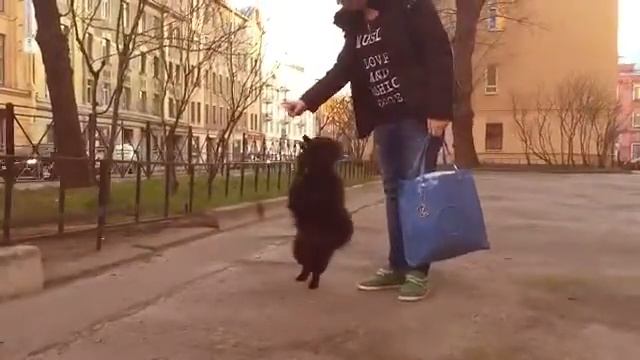 ЧИТА ДРИТА, СЕРДЮЧКА смотреть онлайн