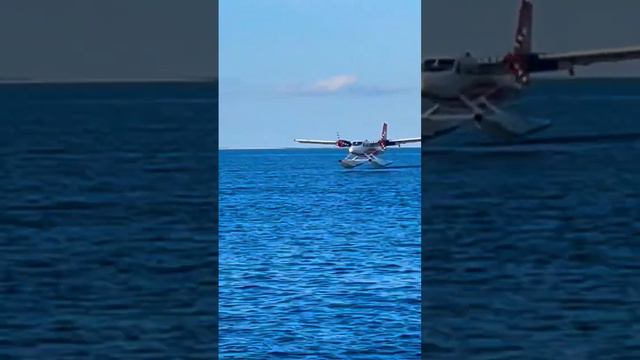 You won’t believe this smooth landing #twinotter #seaplane #maldives #flight #ocean смотреть онлайн