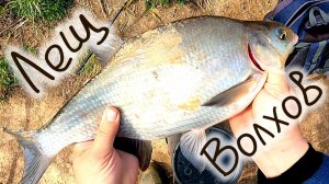 Рыбалка река Волхов , ЛЕЩ , СОПА , КАРАСЬ , Fishing river Volkhov, BREAM, SOPA, CARP