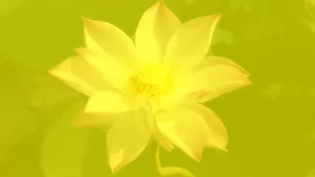 Звуковой массаж всех чакр  Чудо Тона 174Гц, 285Гц, 396Гц, 417Гц, 528Гц, 639Гц, 7