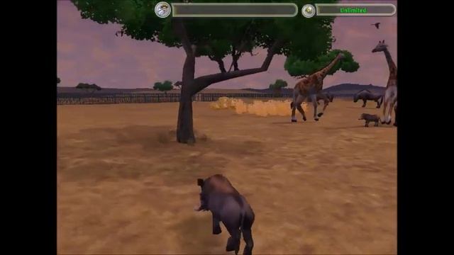 Zoo Tycoon 2 African Adventure Common Warthog Gameplay смотреть онлайн