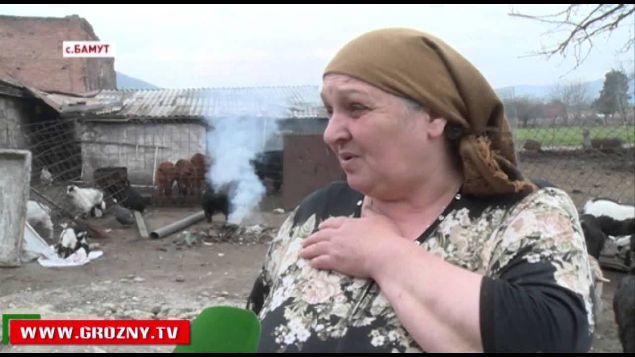 Семья Махаури из Бамута сделала ставку на ведение домашнего хозяйства смотреть онлайн