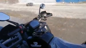 Квадроцикл PROMAX WILD 300
