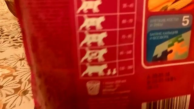 Корм для кошки Whiskas (кошки обажают его) смотреть онлайн