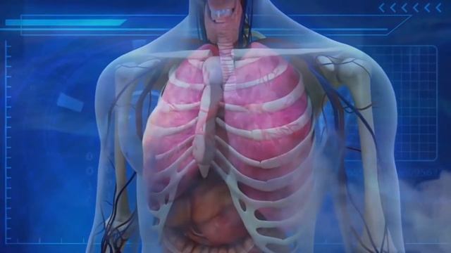 Онлайн-акция «В здоровом теле- здоровых дух!»