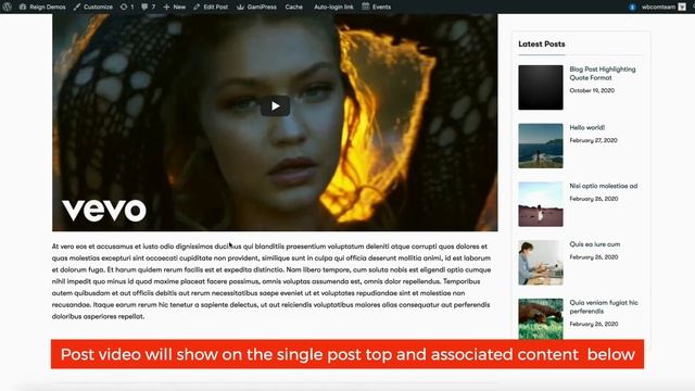 How to Use WordPress Video Post Format - Reign BuddyPress Theme смотреть онлайн