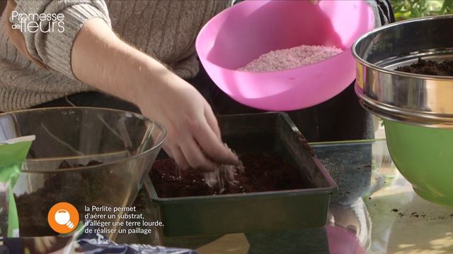 Les indispensables d'Olivier : la perlite смотреть онлайн
