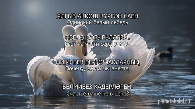 Татарские песни С ПЕРЕВОДОМ НА РУССКИЙ I АЕРЫЛМАГЫЗ / НЕ РАССТАВАЙТЕСЬ