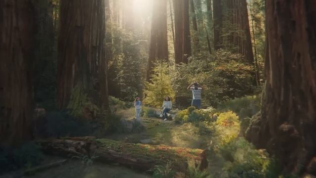 Black Forest® - Take Me To The Forest! смотреть онлайн