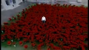 МИЛЛИОН АЛЫХ РОЗ