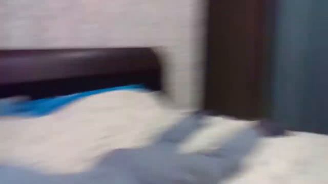 Короче говоря два брата не дают Sony 4pro и телефон смотреть онлайн