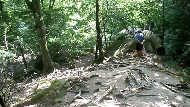 Прогулка к Волконским дольменам в поселке Волконка, Лазаревского района. Июль 2013 смотреть онлайн