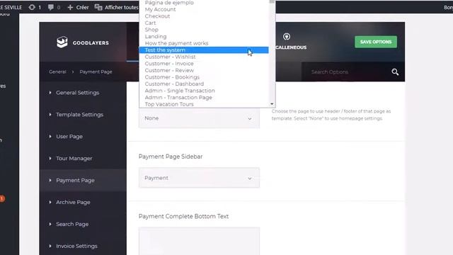GoodLayers - Polylang page id setup video смотреть онлайн