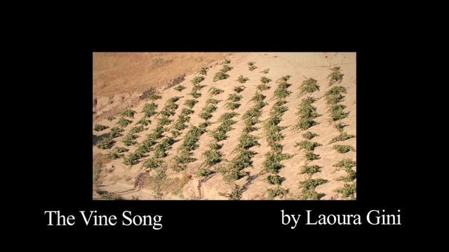 The Vine Song смотреть онлайн