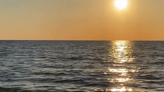 Охота дельфинов в Анапе на центральном пляже 11.05.23 смотреть онлайн