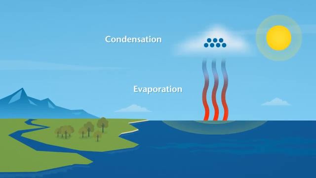 How does rain form and what is the water cycle? смотреть онлайн