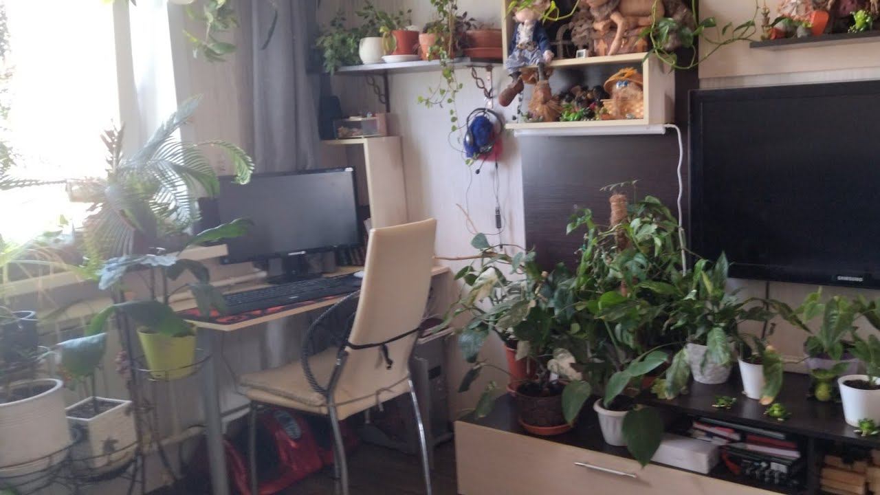 Про цветы. Переделка часть вторая. Спальня. смотреть онлайн