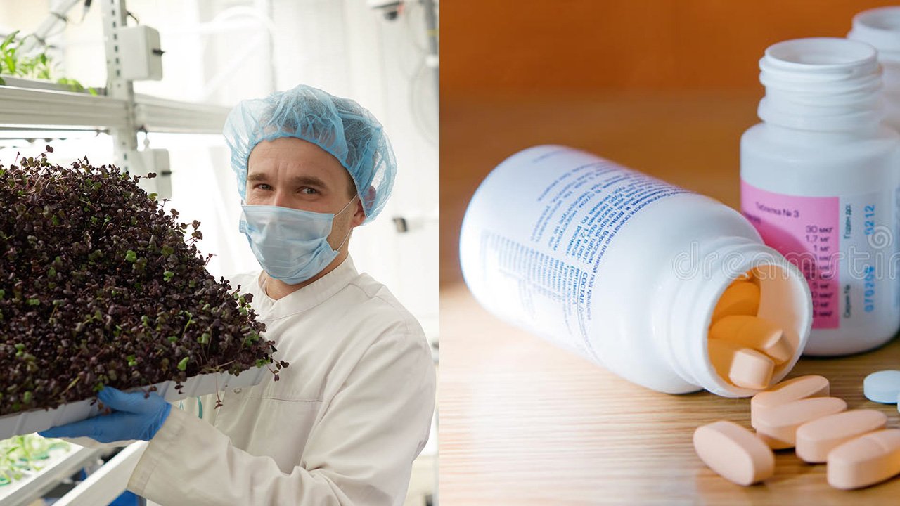 Жизнь в тонусе