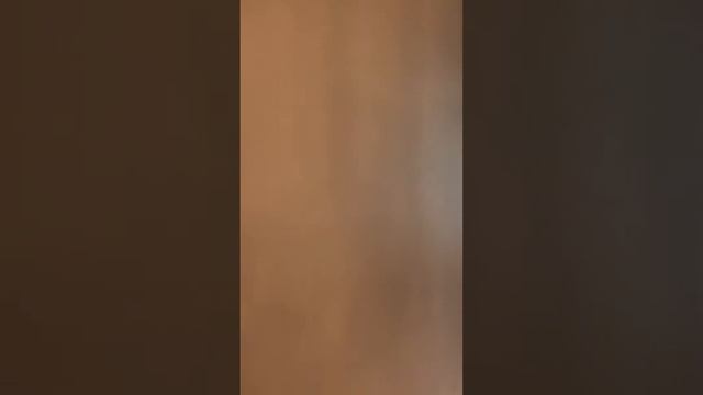 Обзор квартиры в Аренду в 🇺🇸 Майями Хорошии район Три Айланд по низкой цене