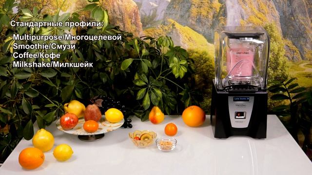 Коммерческий блендер Blendtec Connoisseur 825. Обзор возможностей смотреть онлайн