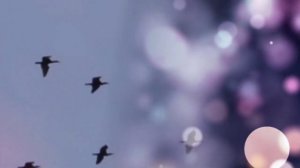 ГДЕ ТО ВЫСОКО Сергей Орлов Супер песня !!!