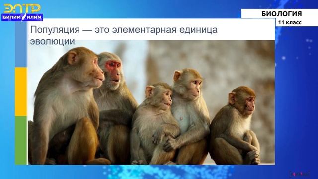 11-класс | Биология | Вид – эволюционная единица. Вид и его критерии. Формы естественного отбора. смотреть онлайн