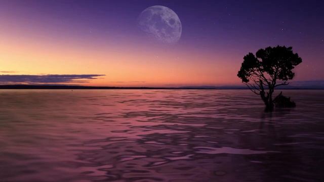 Белая луна в Стрельце смотреть онлайн