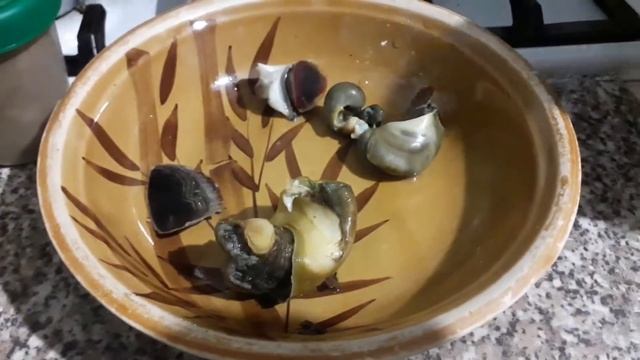 Готовка на Открытом Огне