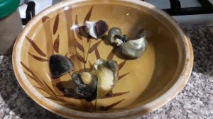 Как готовить рапана.