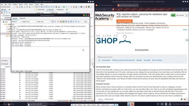SQL Injection - Determining Oracle Database Version смотреть онлайн