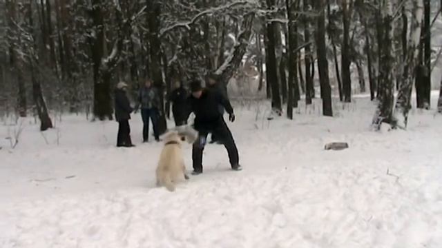 Мон Солей Кашмир Алонсо смотреть онлайн