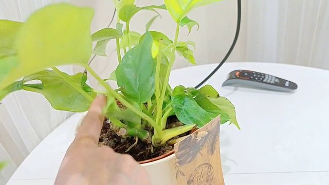 Как заработать,живя в ДЕРЕВНЕ. смотреть онлайн