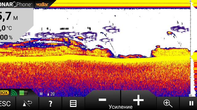 сканирование эхолотом vexilar sp 200 прикормочным корабликом. р.Днестр,Маяки,Одесская область. смотреть онлайн