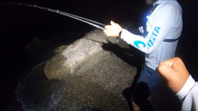 Ловля лаврака (сибаса) на спиннинг в Черном море / Black sea seabass (labrax) game смотреть онлайн