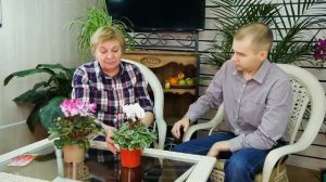 ЦИКЛАМЕН ? Особенности выращивания ? Почему не цветет цикламен?