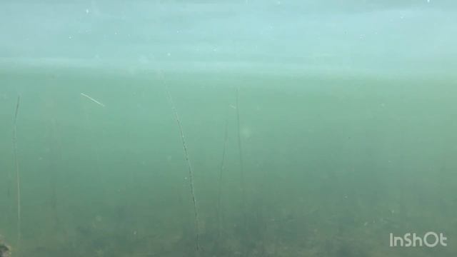 ИСПЫТАЛА ТЕЛЕФОН НА ВОДОСТОЙКОСТЬ ? IPhone Xr