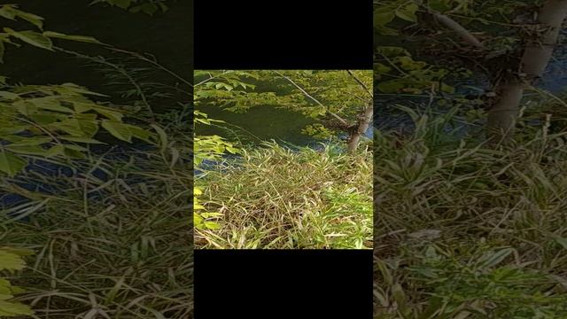 20230828_Аркадий показывает свою землю смотреть онлайн