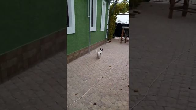 Вот как можно отделать углы и окна домов из обычного пенопласта . смотреть онлайн