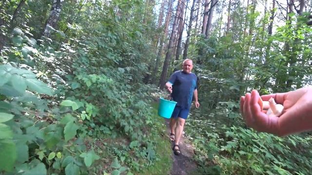 VLOG в лес за грибами/боюсь медведей/собрали грибов/Листвяги/часть 2 смотреть онлайн