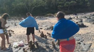 Экскурсия Остров Обезьян. Паттайя