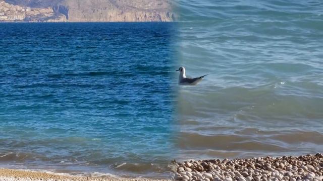 El tiempo 5 de enero 2015. Погода 5 января в провинции Аликанте смотреть онлайн