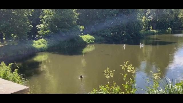 "Королевские Лазенки" - Лучший Парк в Варшаве смотреть онлайн