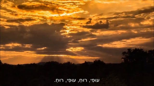 שיר עד - עופי רוח - מילים: אהרון אשמן | לחן: יששכר מירון | ביצוע: לאה דגנית, 1957 - Lea Deganith смотреть онлайн