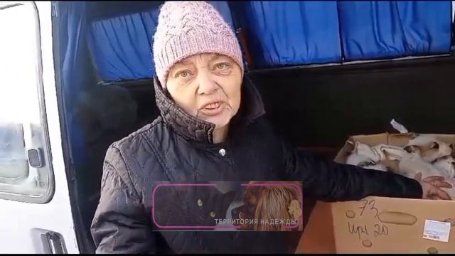 Наше щенячье пополнение за сегодня. смотреть онлайн