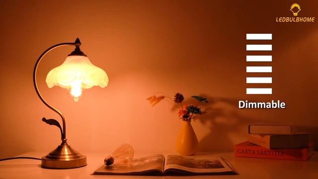 LEDBulbHome Dimmable 60W E26/E27 ST64 Vintage Edison Incandescent Light Bulb смотреть онлайн