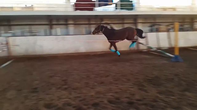 Продается. смотреть онлайн