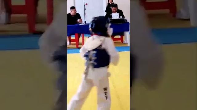 соревнование по тхеквондо смотреть онлайн