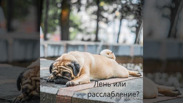 Лень или расслабление? - ченнелинг смотреть онлайн