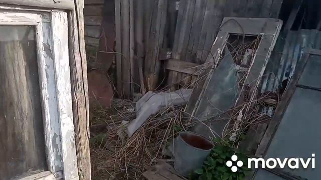ничего не хочу сказать, просто два слова об огороде// 2 июня 2023 г. смотреть онлайн